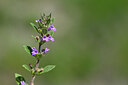 BUITEN BEELD Foto: 444097