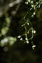 BUITEN BEELD Foto: 444100