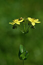 BUITEN BEELD Foto: 444109