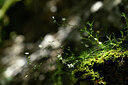 BUITEN BEELD Foto: 444110