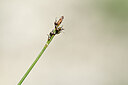 BUITEN BEELD Foto: 444115