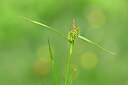 BUITEN BEELD Foto: 444118