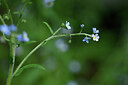 BUITEN BEELD Foto: 444119