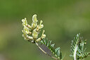 BUITEN BEELD Foto: 444125