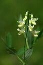 BUITEN BEELD Foto: 444127