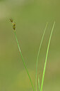 BUITEN BEELD Foto: 444133