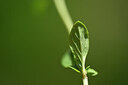 BUITEN BEELD Foto: 444139