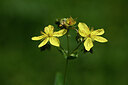 BUITEN BEELD Foto: 444141
