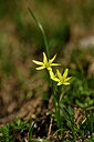 BUITEN BEELD Foto: 444144