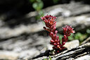 BUITEN BEELD Foto: 444148
