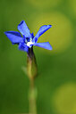 BUITEN BEELD Foto: 444154
