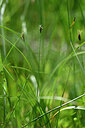 BUITEN BEELD Foto: 444155