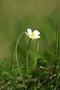BUITEN BEELD Foto: 444157