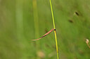 BUITEN BEELD Foto: 444158