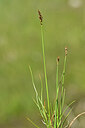 BUITEN BEELD Foto: 444163