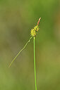 BUITEN BEELD Foto: 444166