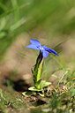BUITEN BEELD Foto: 444170