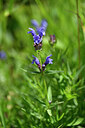 BUITEN BEELD Foto: 444171