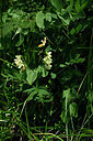 BUITEN BEELD Foto: 444174