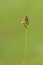 BUITEN BEELD Foto: 444176