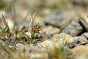 BUITEN BEELD Foto: 444178