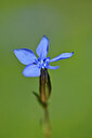 BUITEN BEELD Foto: 444179