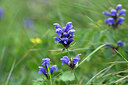 BUITEN BEELD Foto: 444180