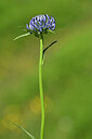 BUITEN BEELD Foto: 444187