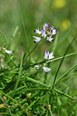 BUITEN BEELD Foto: 444192
