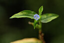 BUITEN BEELD Foto: 444194