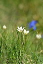 BUITEN BEELD Foto: 444196