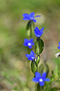 BUITEN BEELD Foto: 444201