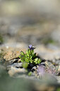 BUITEN BEELD Foto: 444204