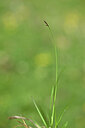 BUITEN BEELD Foto: 444209