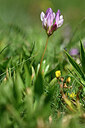 BUITEN BEELD Foto: 444210