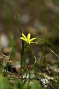 BUITEN BEELD Foto: 444211
