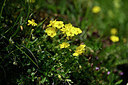 BUITEN BEELD Foto: 444215