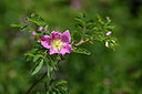 BUITEN BEELD Foto: 444219