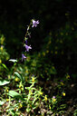 BUITEN BEELD Foto: 444228