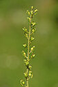 BUITEN BEELD Foto: 444229