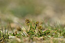 BUITEN BEELD Foto: 444231