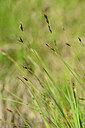 BUITEN BEELD Foto: 444232