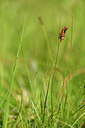 BUITEN BEELD Foto: 444237