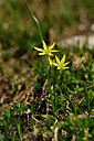 BUITEN BEELD Foto: 444238