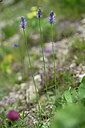 BUITEN BEELD Foto: 444239