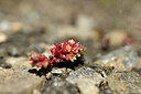 BUITEN BEELD Foto: 444240