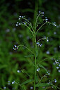 BUITEN BEELD Foto: 444243