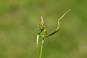 BUITEN BEELD Foto: 444244