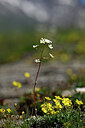 BUITEN BEELD Foto: 444250