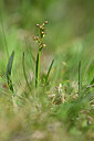 BUITEN BEELD Foto: 444252